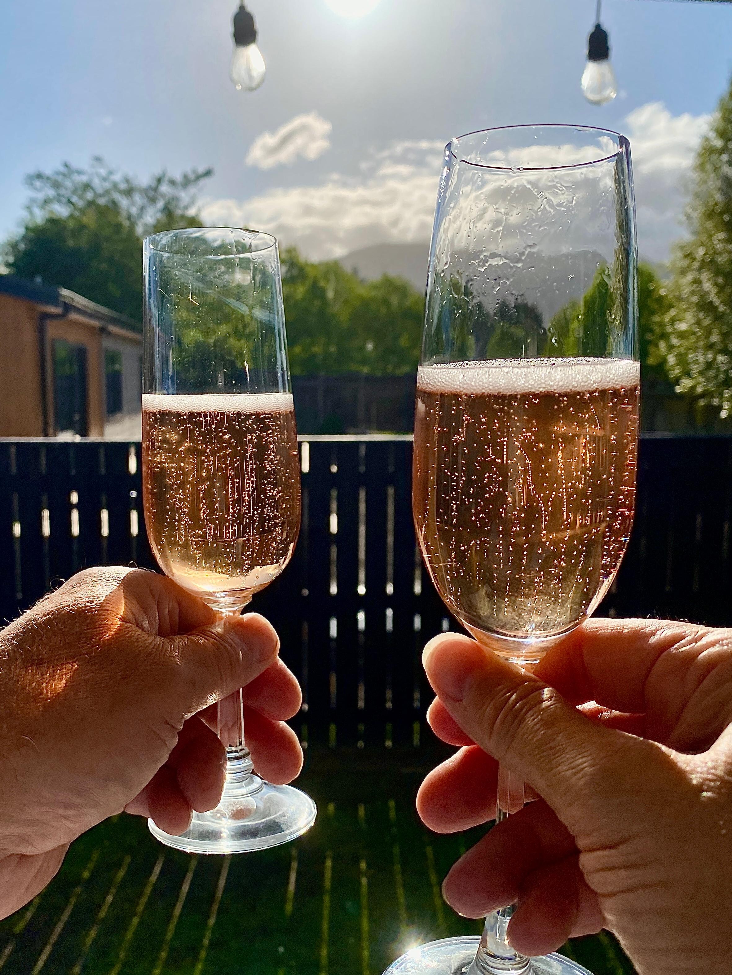 Enjoying the late afternoon sun!