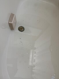 Black flecks in bath water
