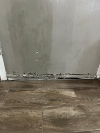 Interior door rotted