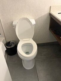 The maintenance guy mentioned the sealing of the toilet, so he assumed that may not be the issue.