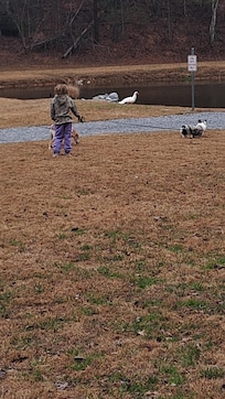 Going to ducks and geese