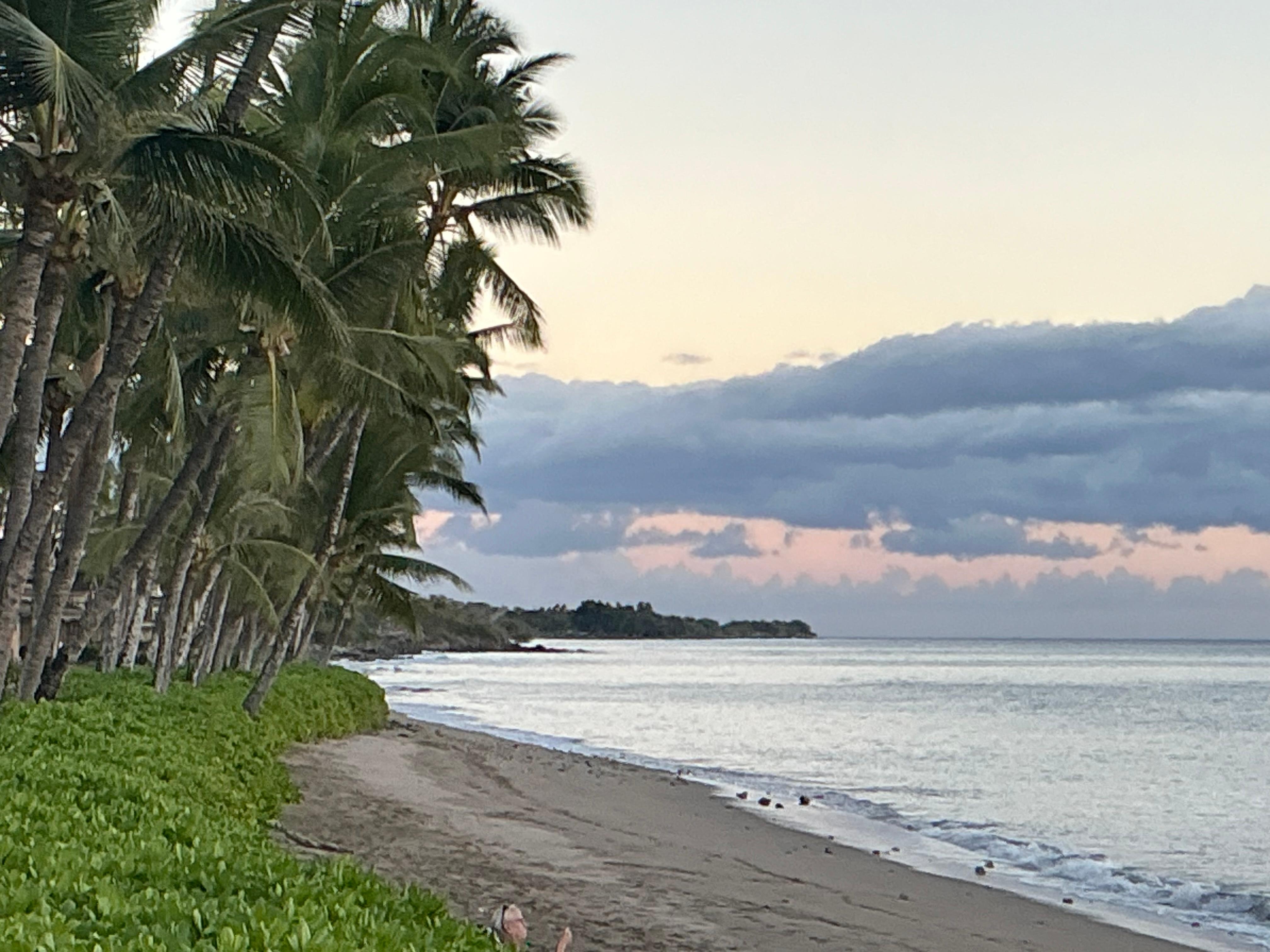 The other direction on the beach. 