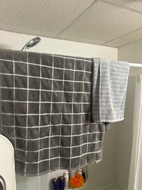 Dirty towels hanging from the shower rod