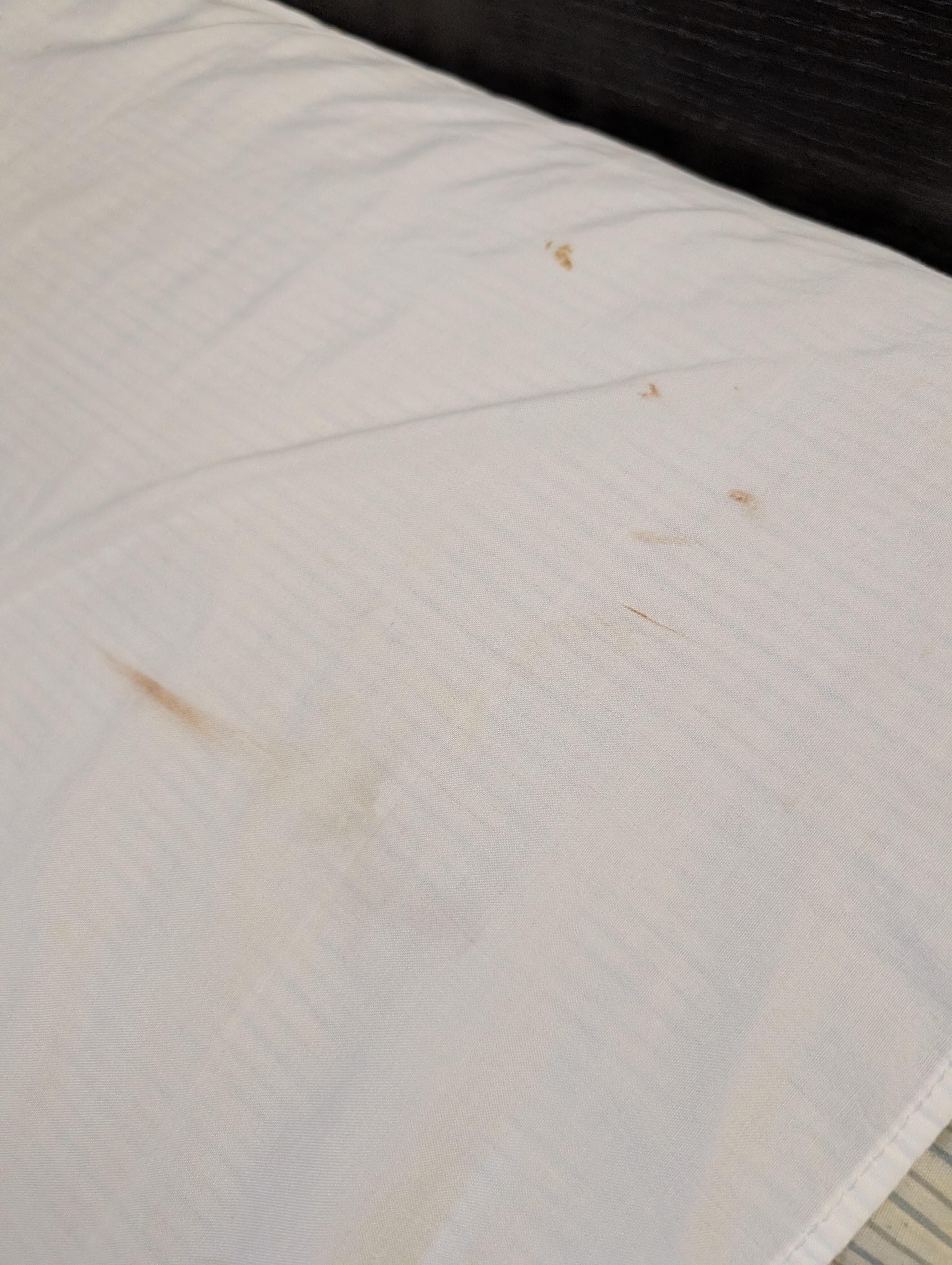 Blood stain on pillow