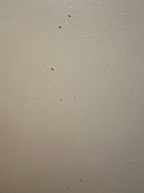 Bloodstains were everywhere; I don't know what happened.