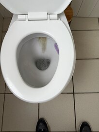 Disgusting toilet