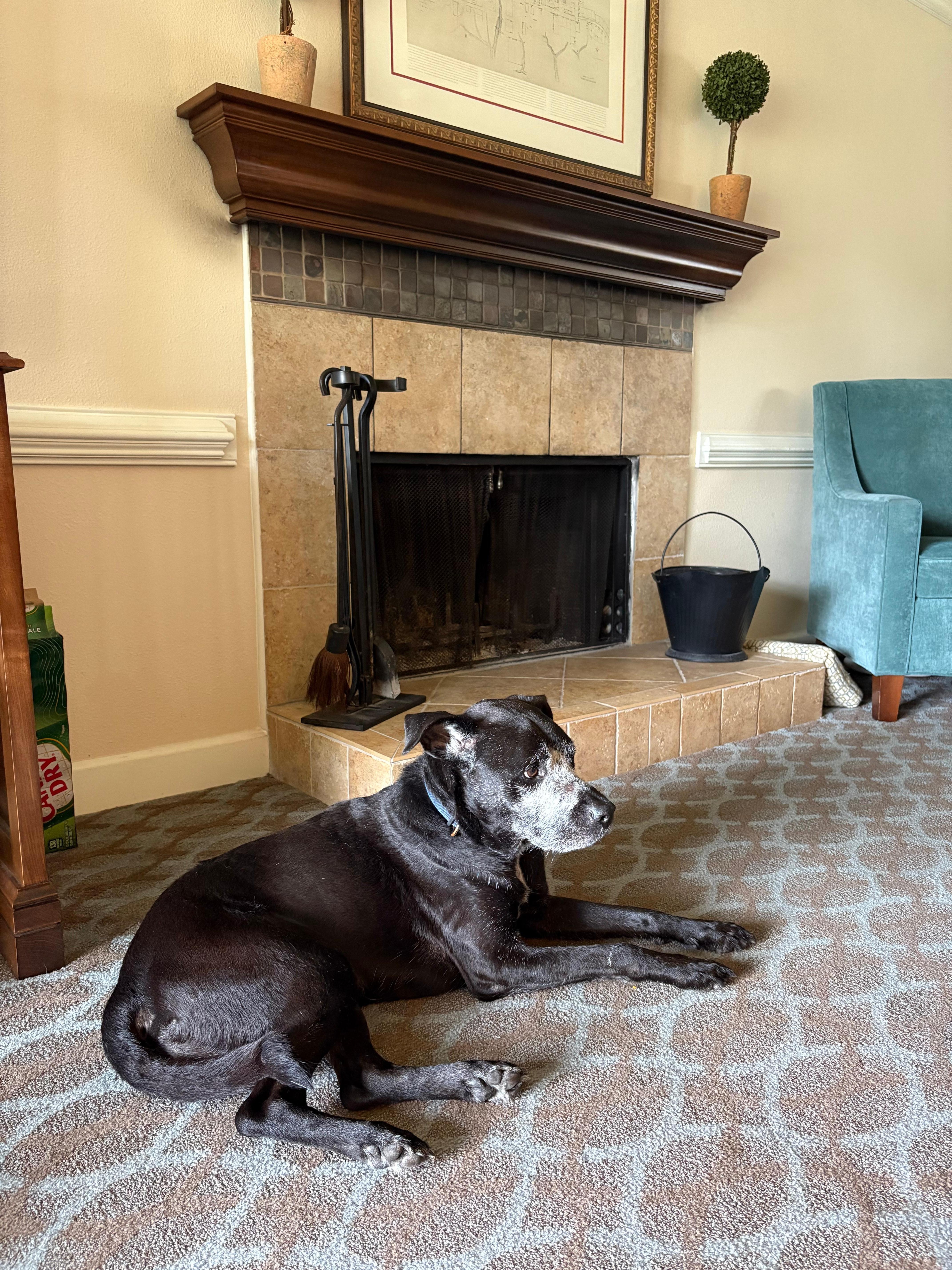 Relaxing by the fireplace.