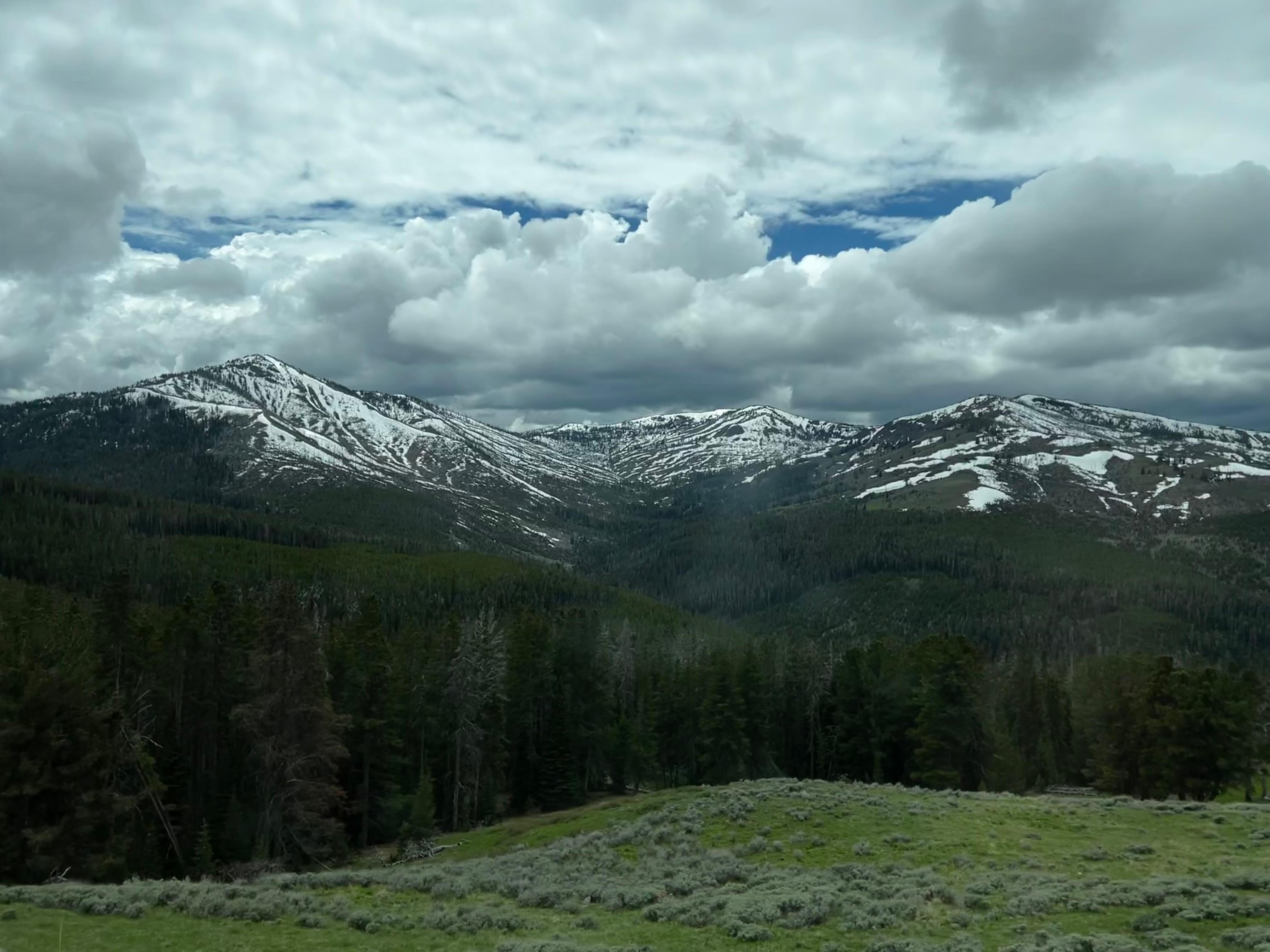 Lamar Valley area, Yellowstone, NP