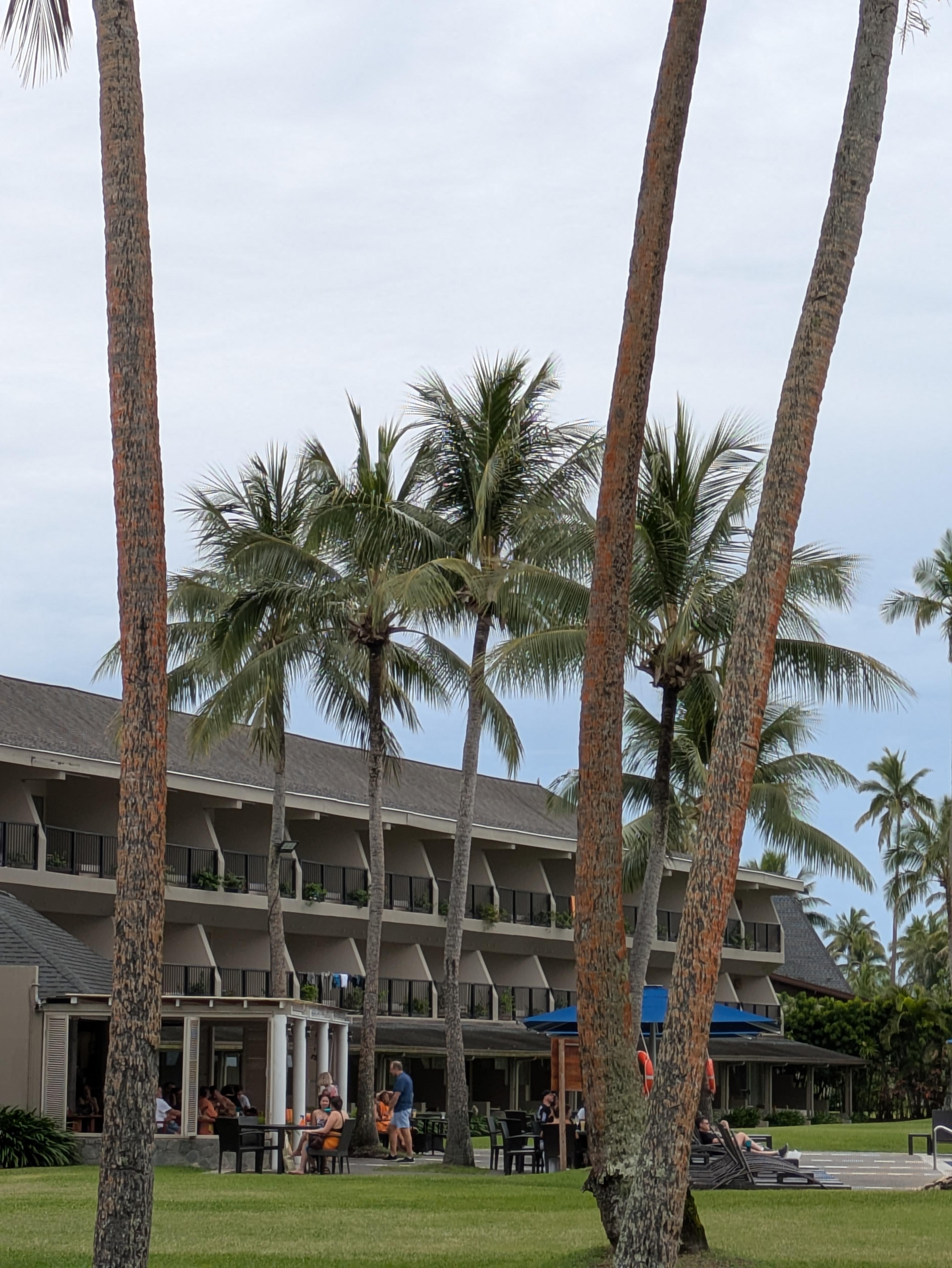 止まっていたリーフの客室