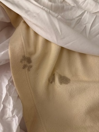 Stain on bed in 2nd room
