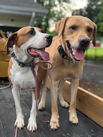 Happy guests