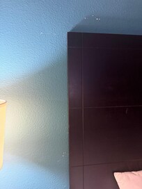 Missing paint on walls in numerous places.