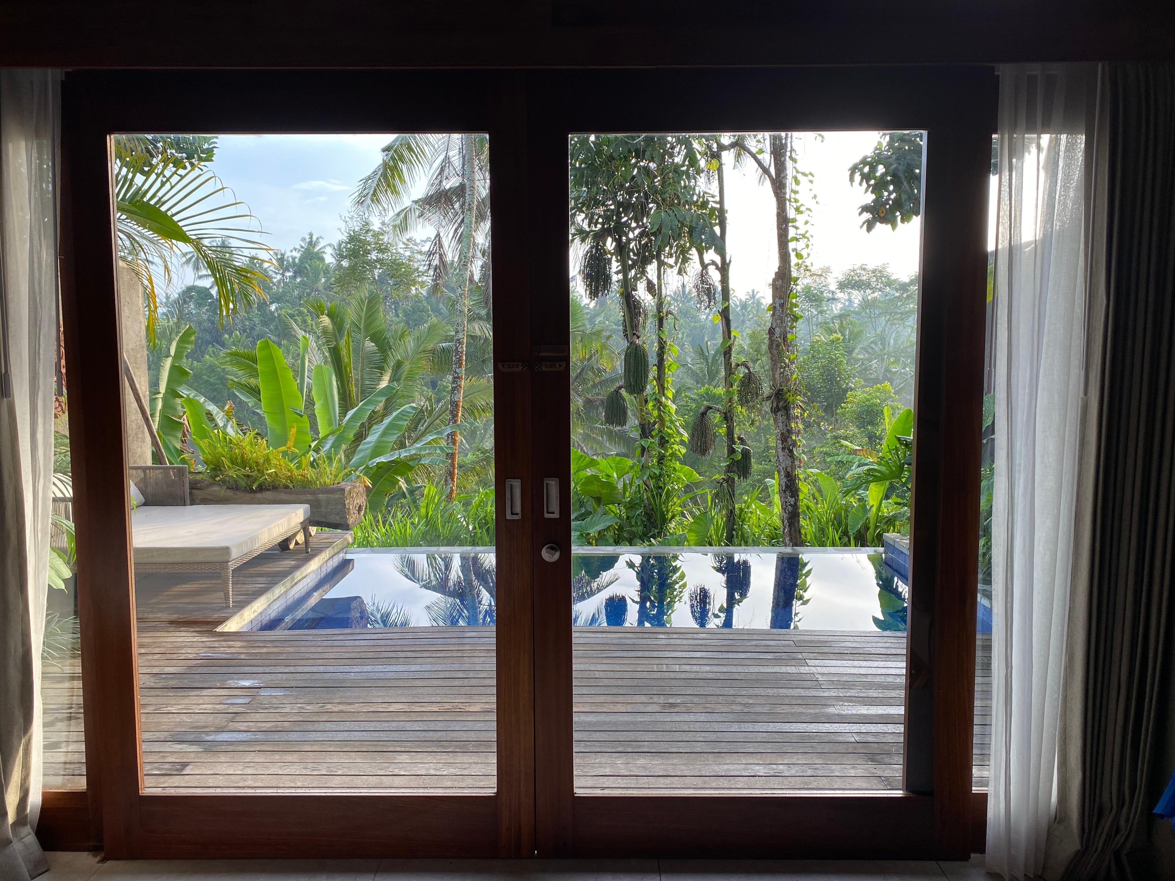 Our private pool out back door 