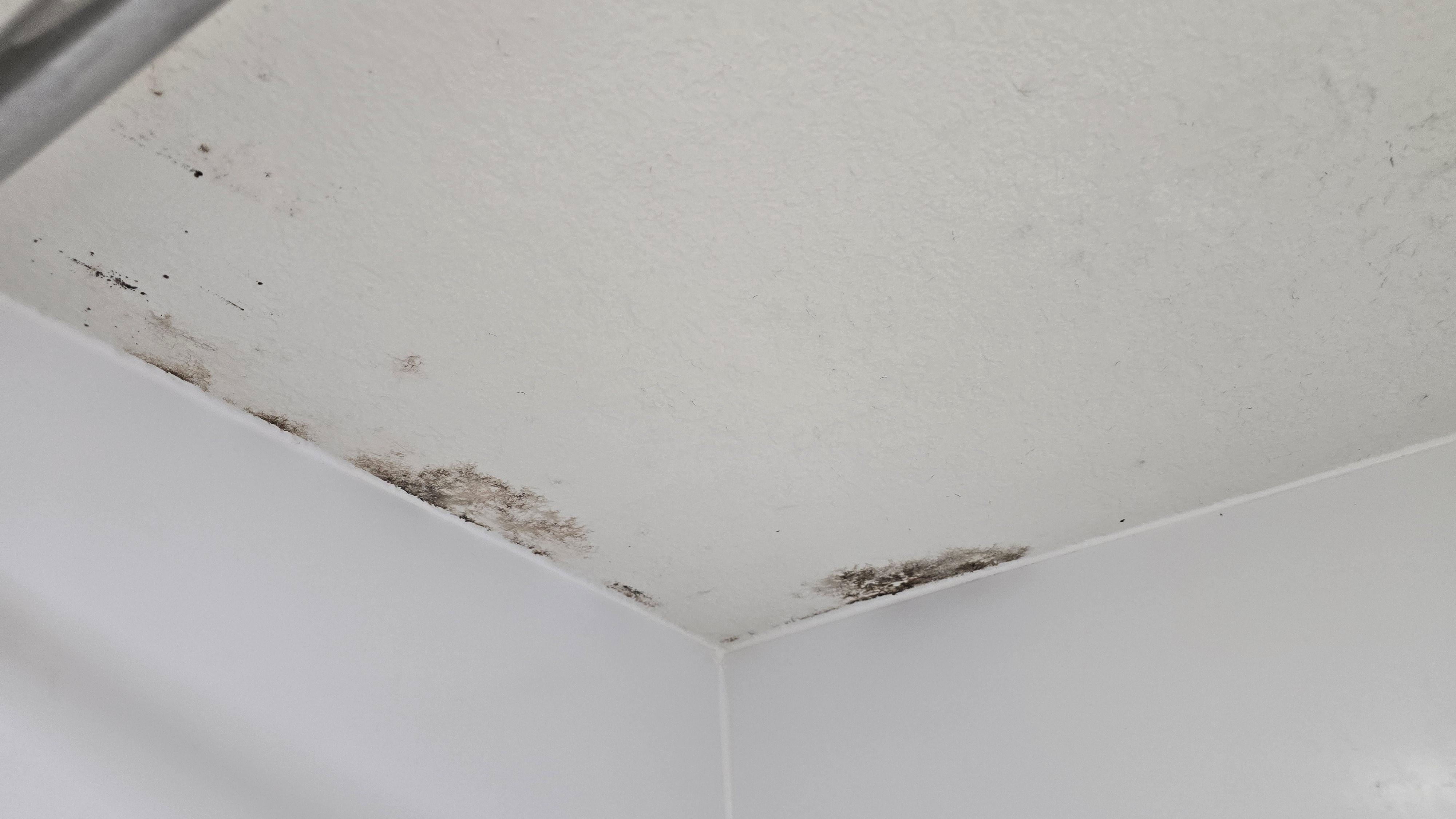 Mold on the shower ceiling