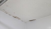 Mold on the shower ceiling