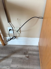 Cockroach