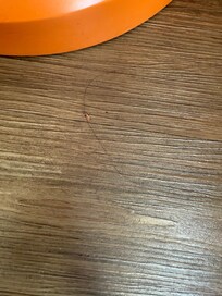 Clumps of black Hair.