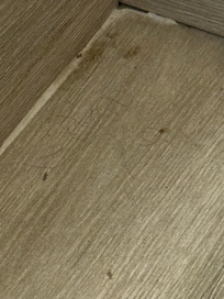 Hairs/uncleaned floors