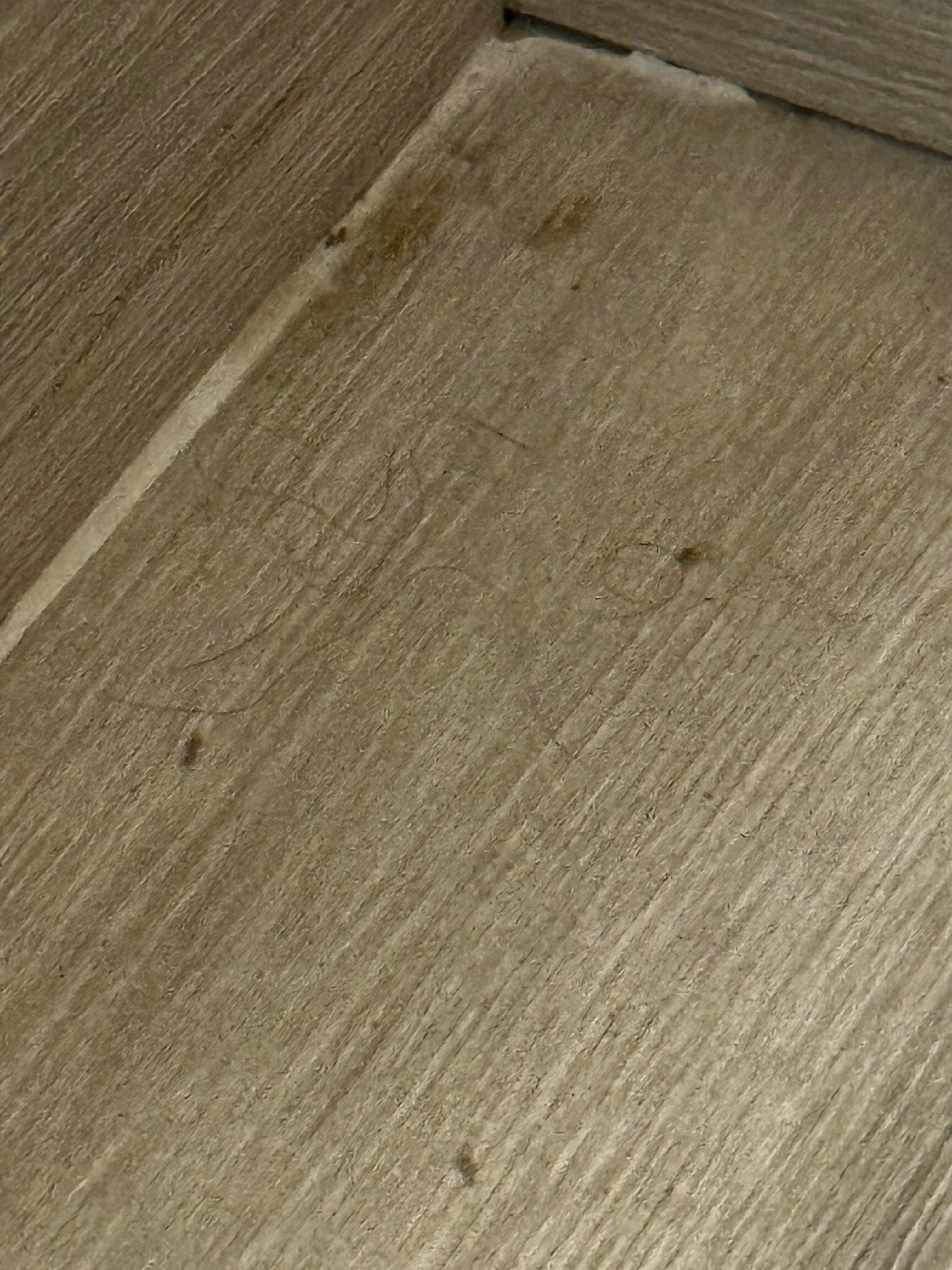 Hairs/uncleaned floors