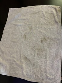 The towel after I cleaned up the water