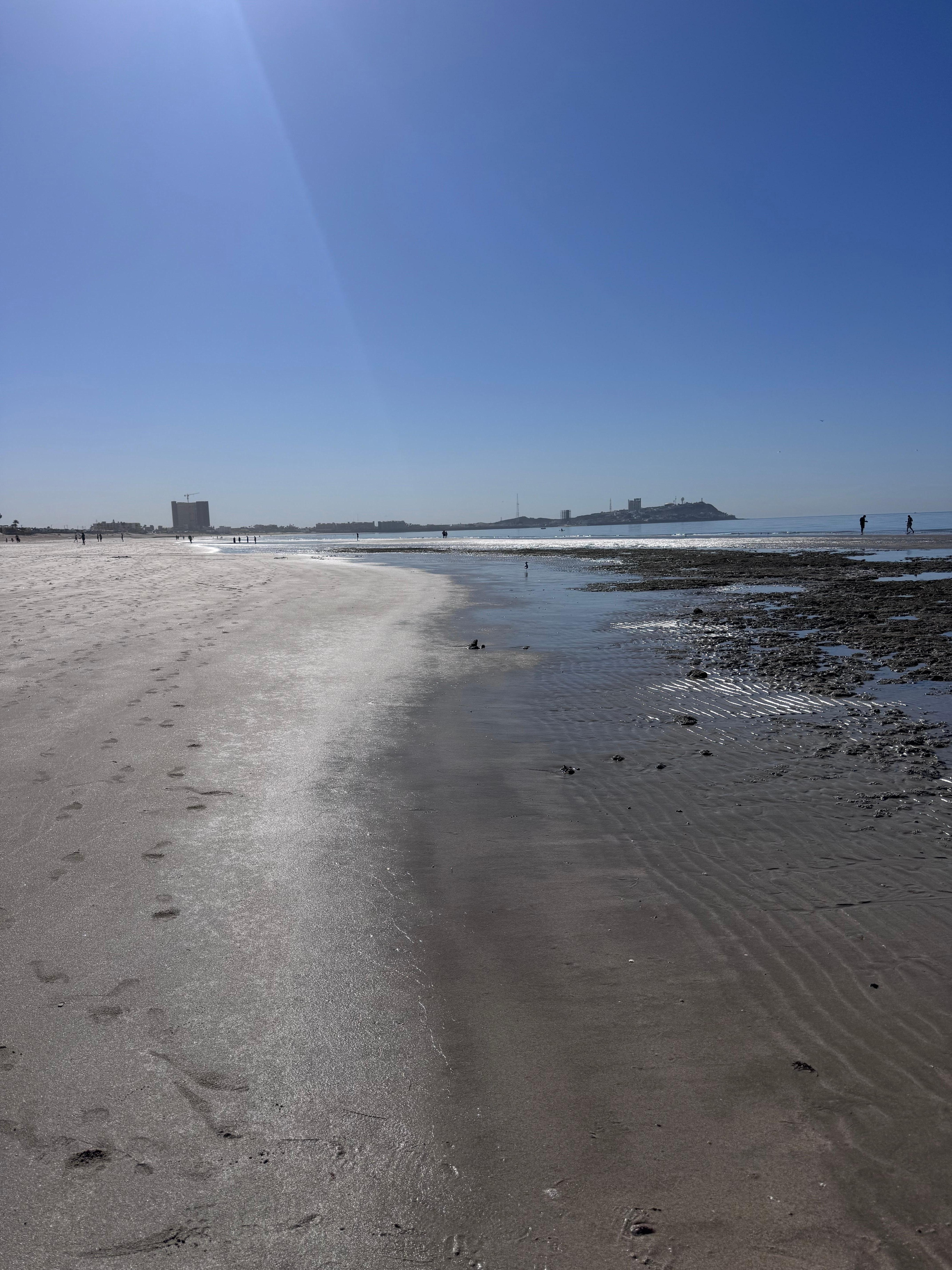 Looking down the beach at low tide