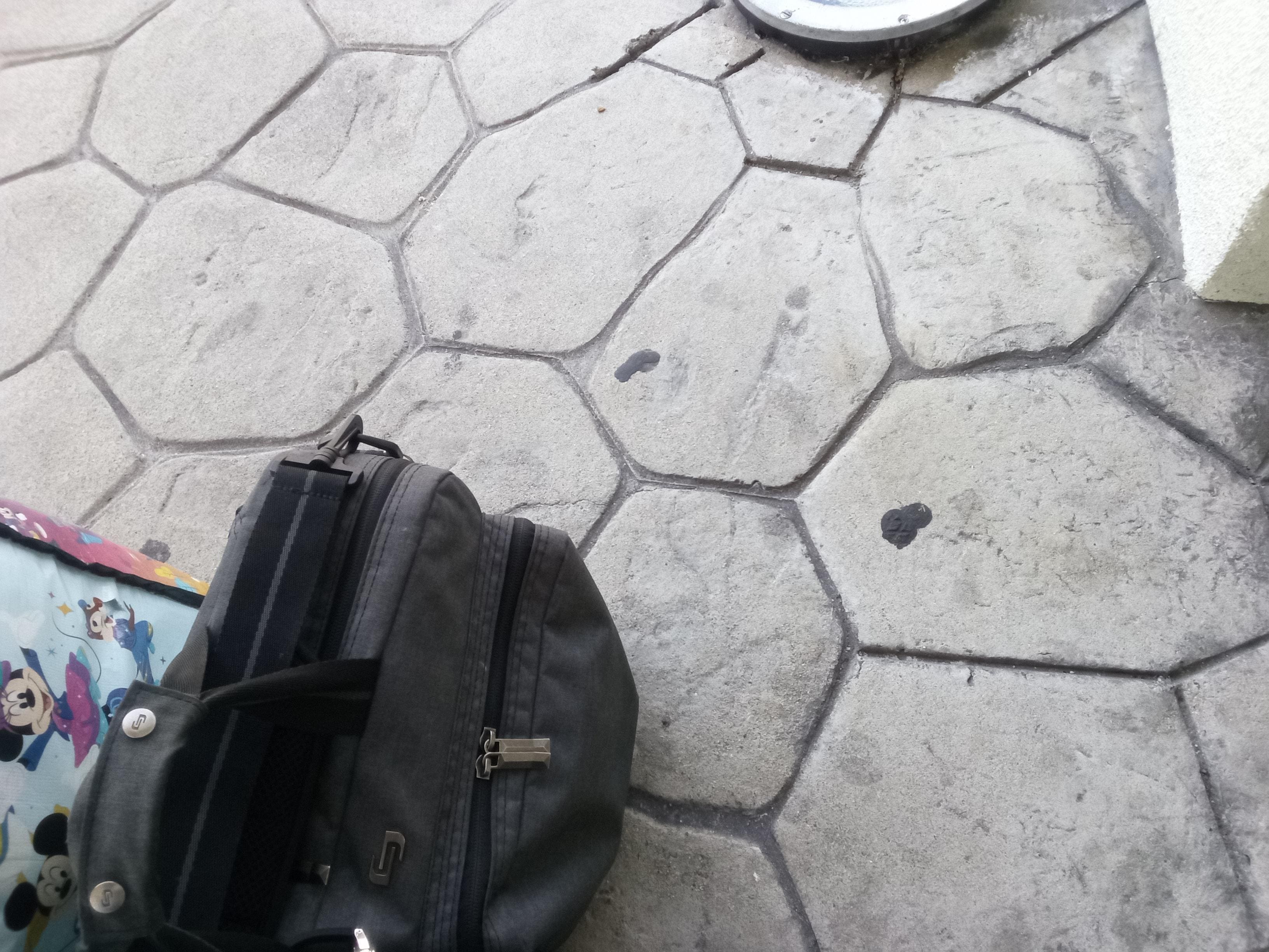 Old gum from the 1900s