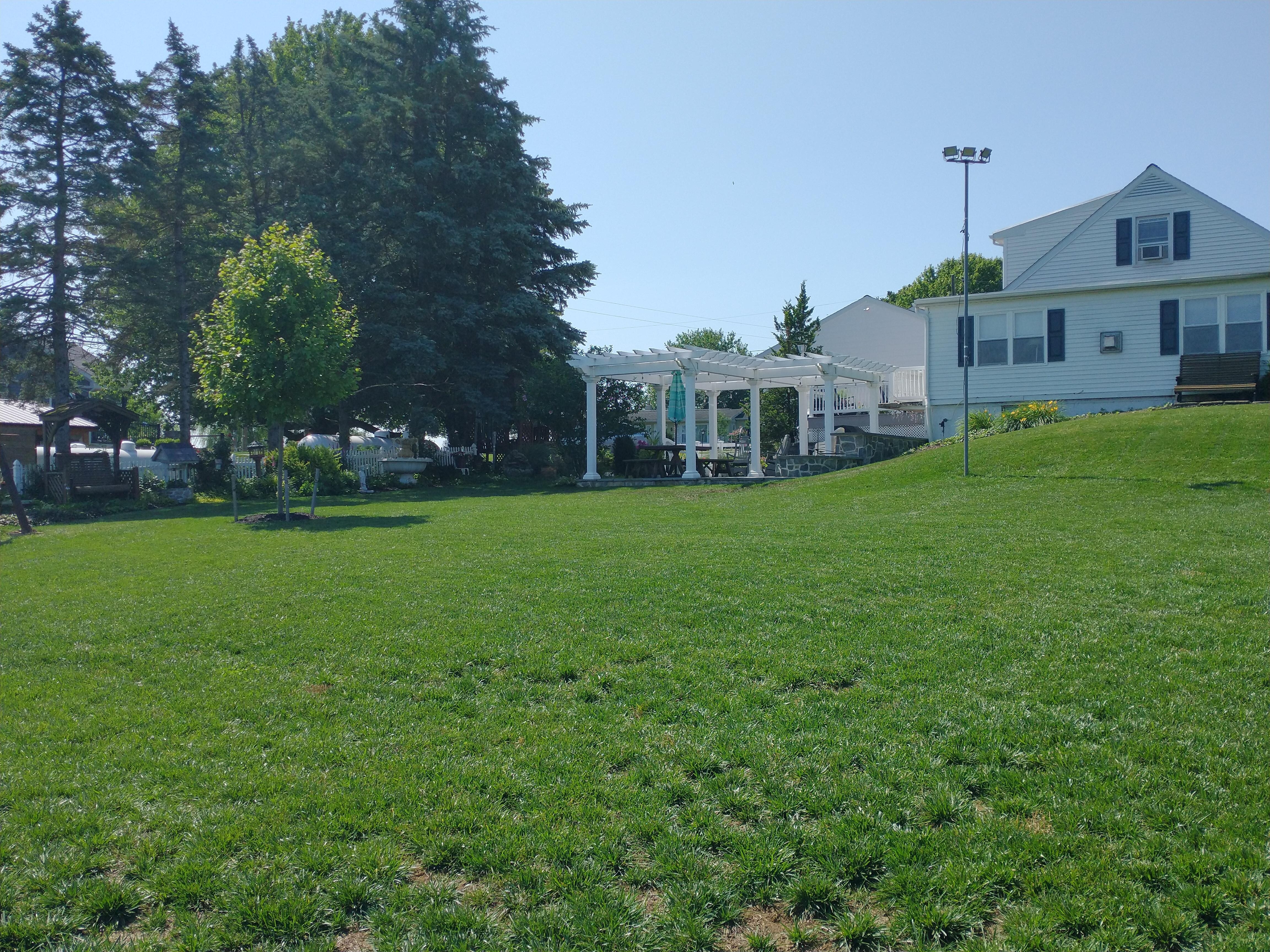 View of back of house, pergola and grounds.