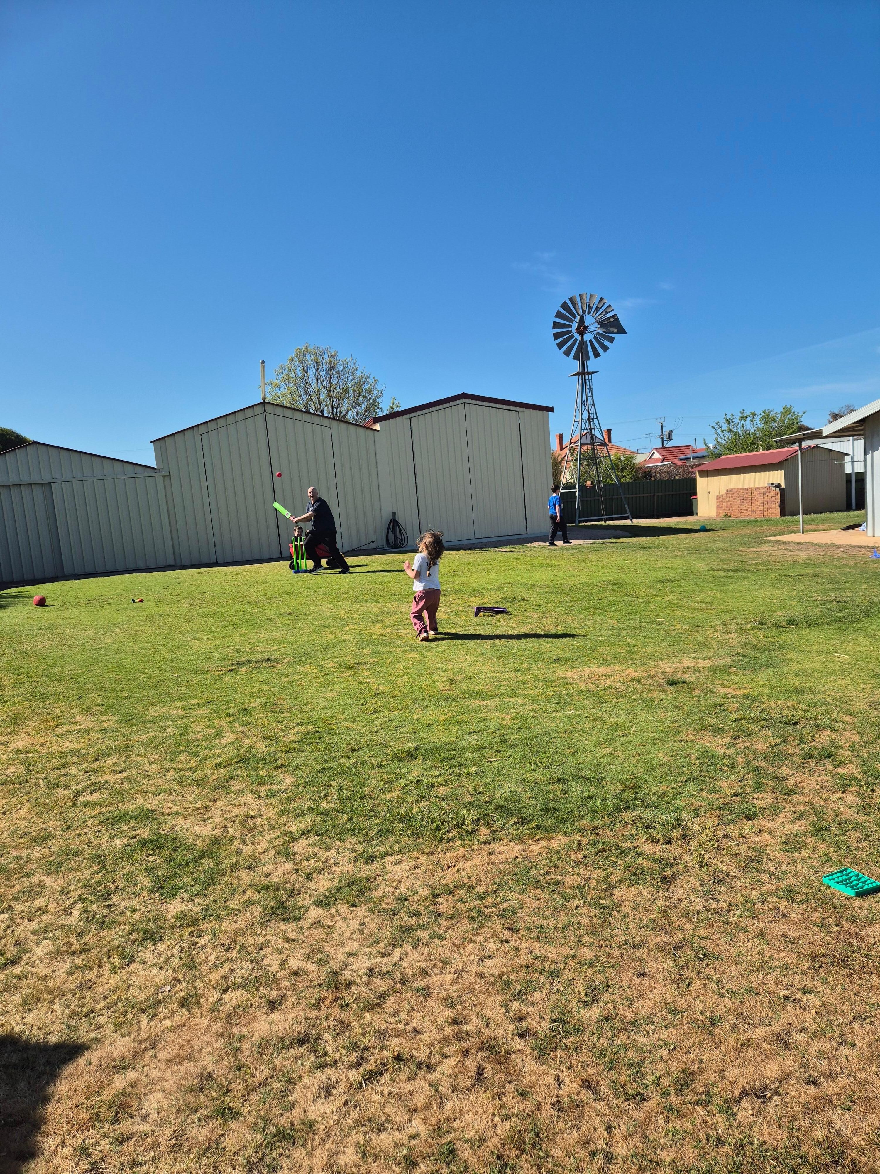 Family cricket out the back