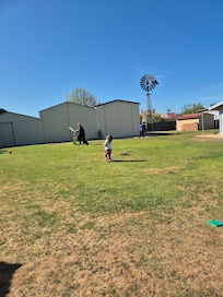 Family cricket out the back