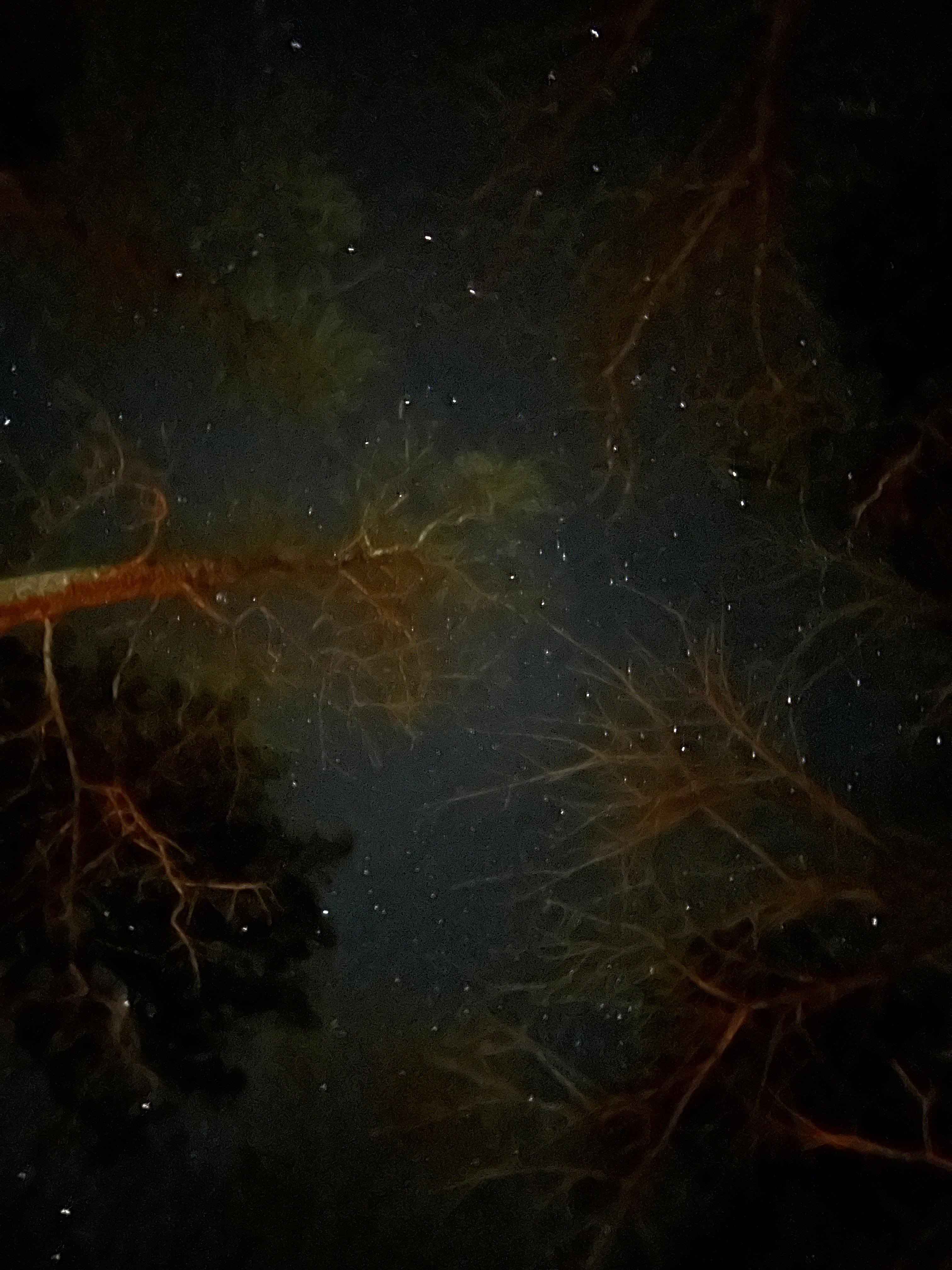 The stars are beautiful at night 