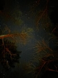 The stars are beautiful at night