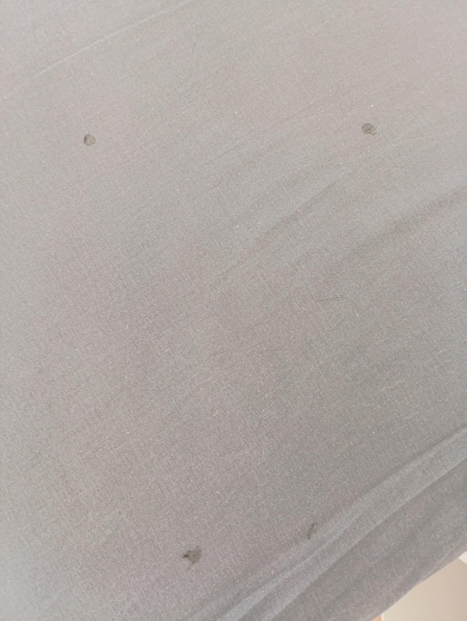 All the bed sheets were stained (clean at that right moment, but had old stains).