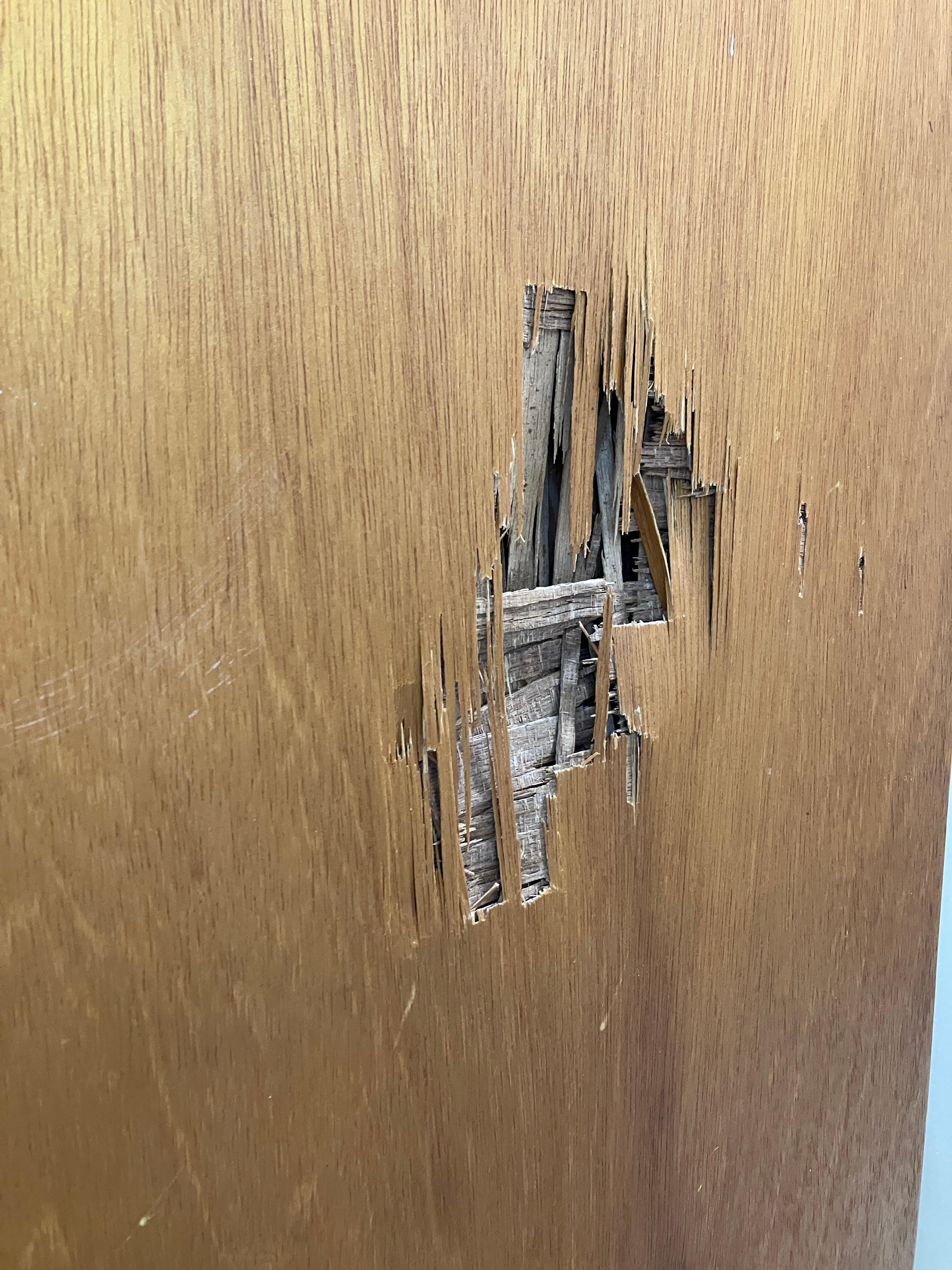 Hole in bathroom door. 