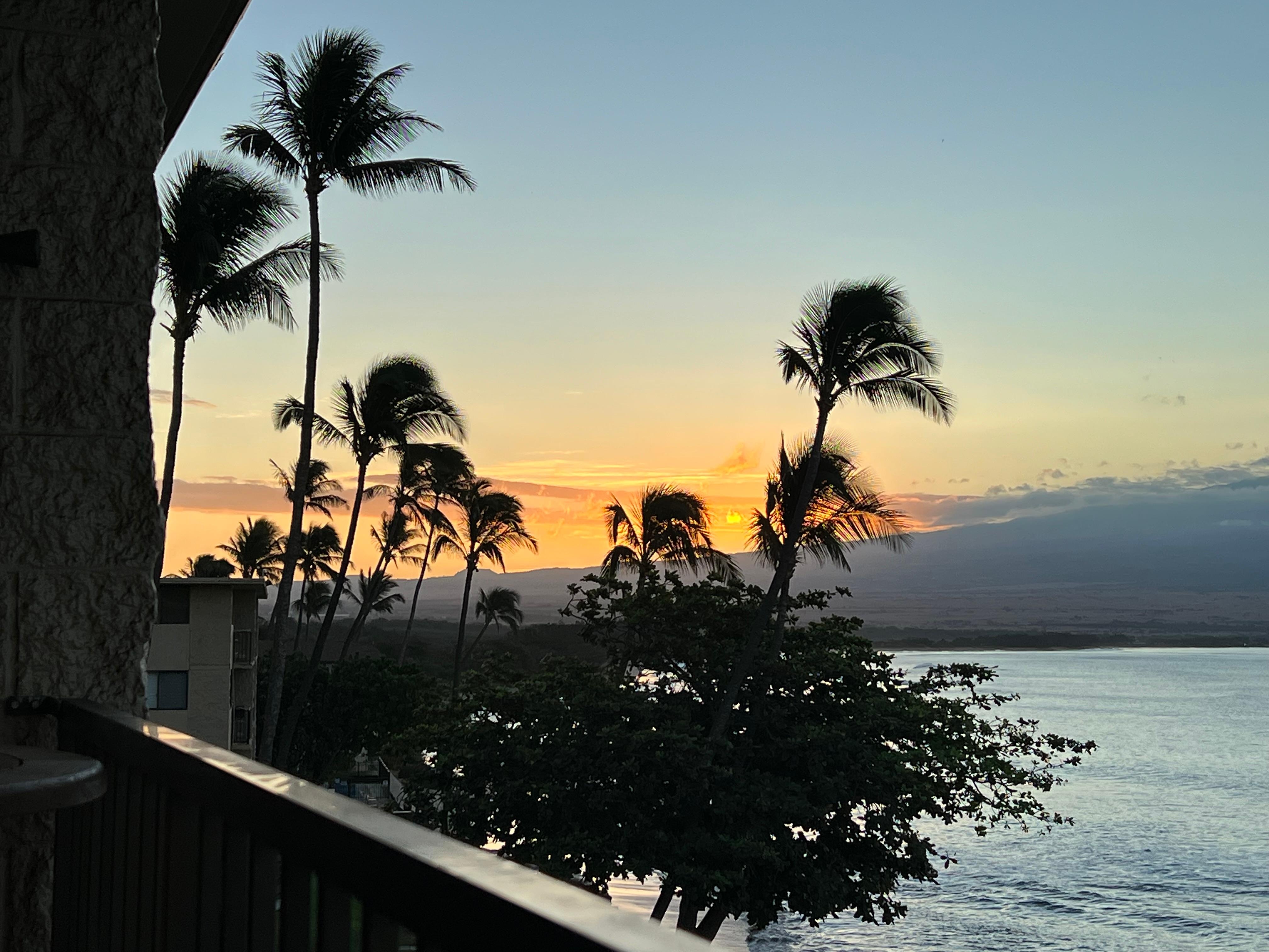 Morning on the lanai