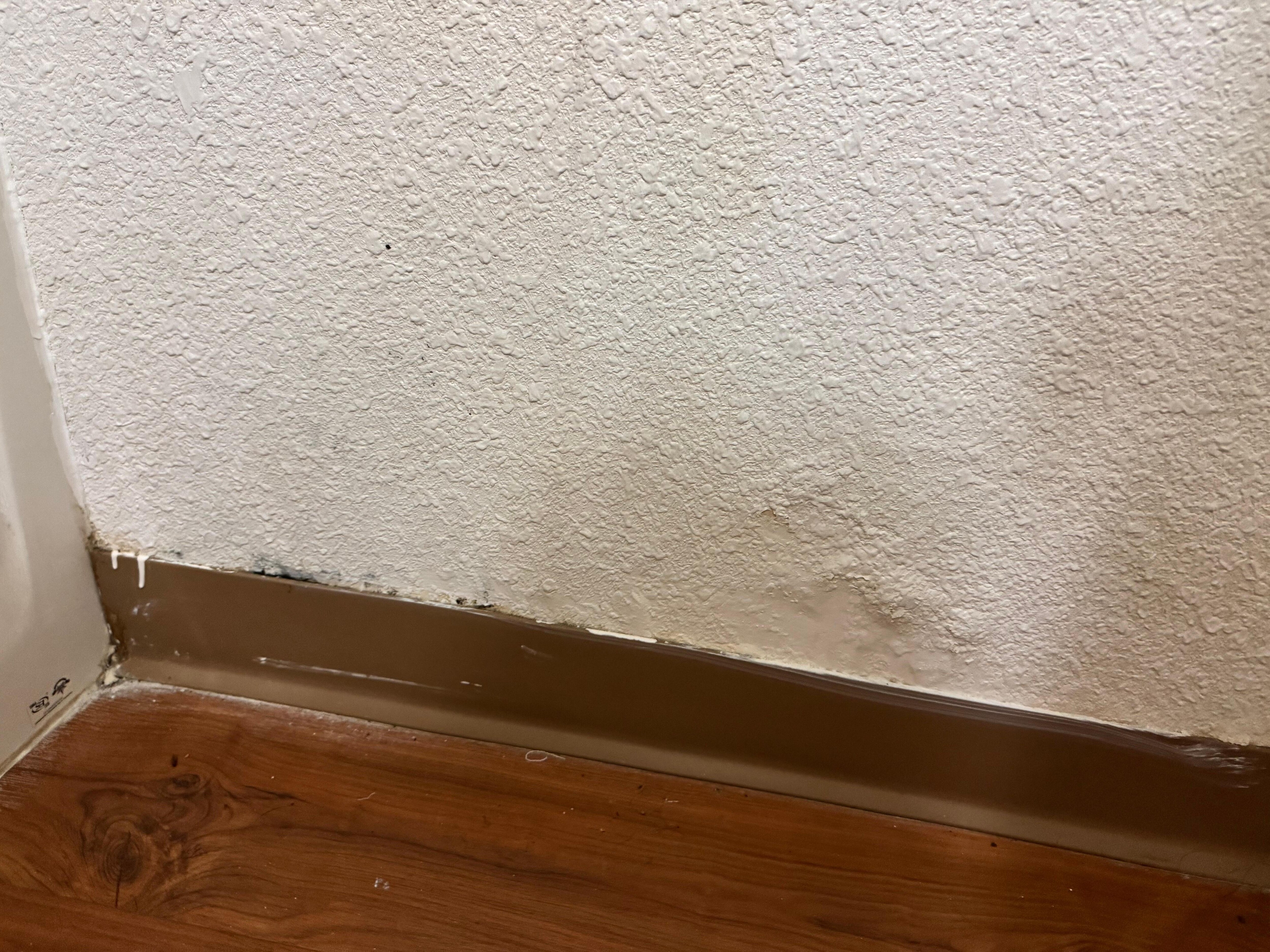 Looks like are had mold that was painted over.