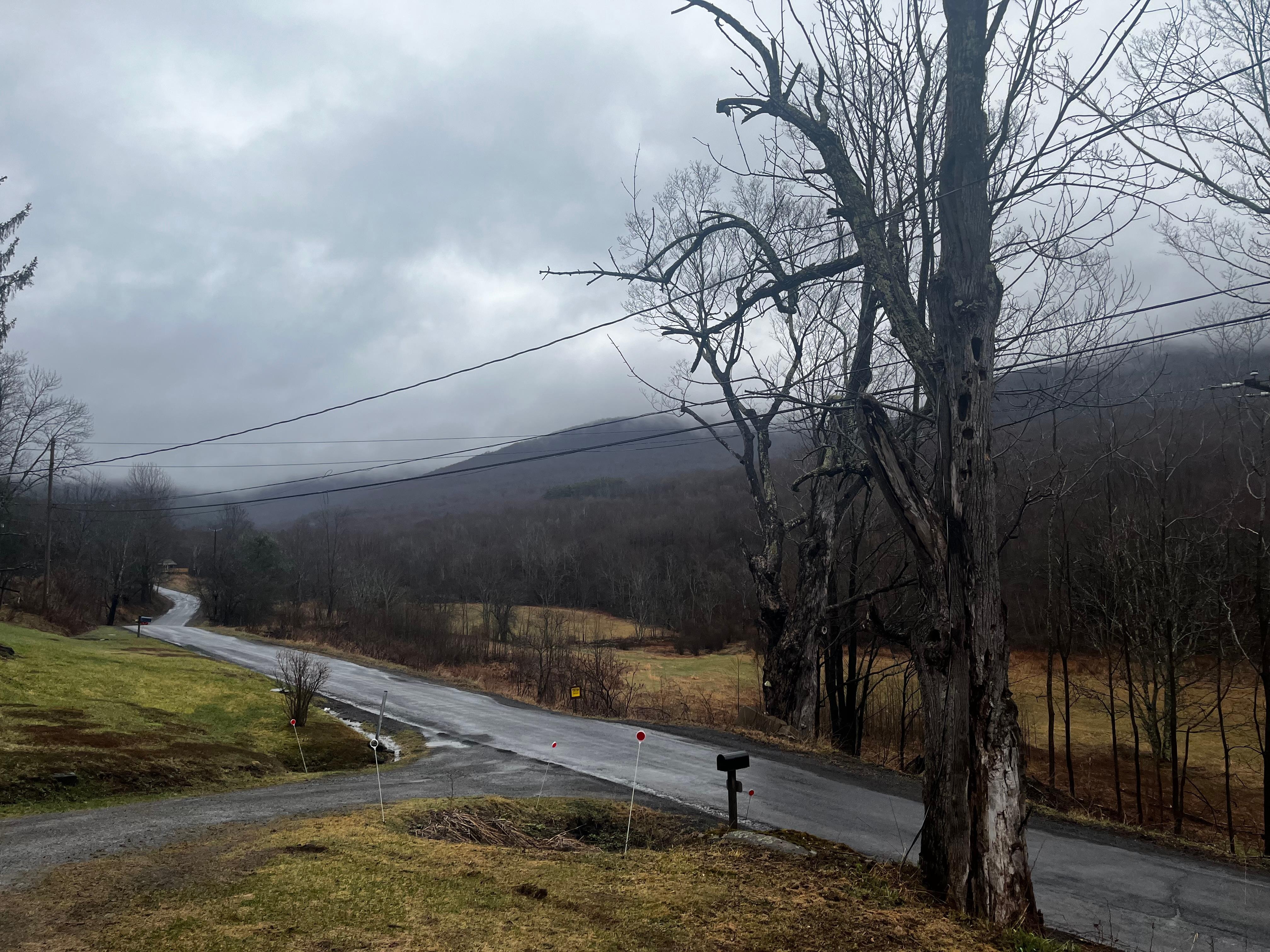 The view from the porch in early Spring - serene and peaceful. 