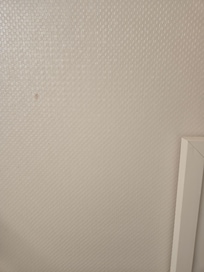 Another pic of stain on wall. Appeared to be blood