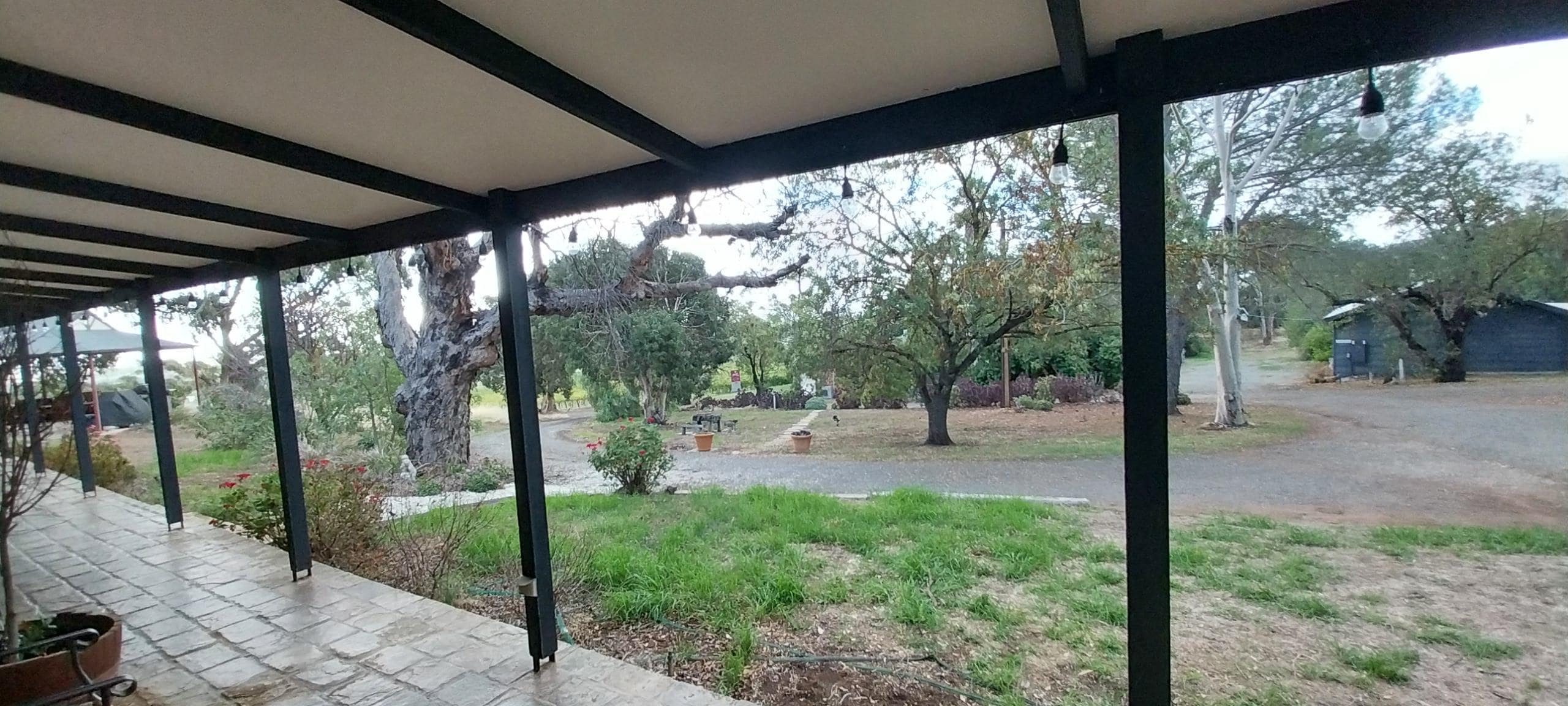 View from room (described as having vineyard view)