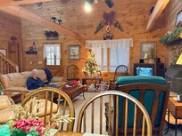 Living room and kitchen were open and spacious
