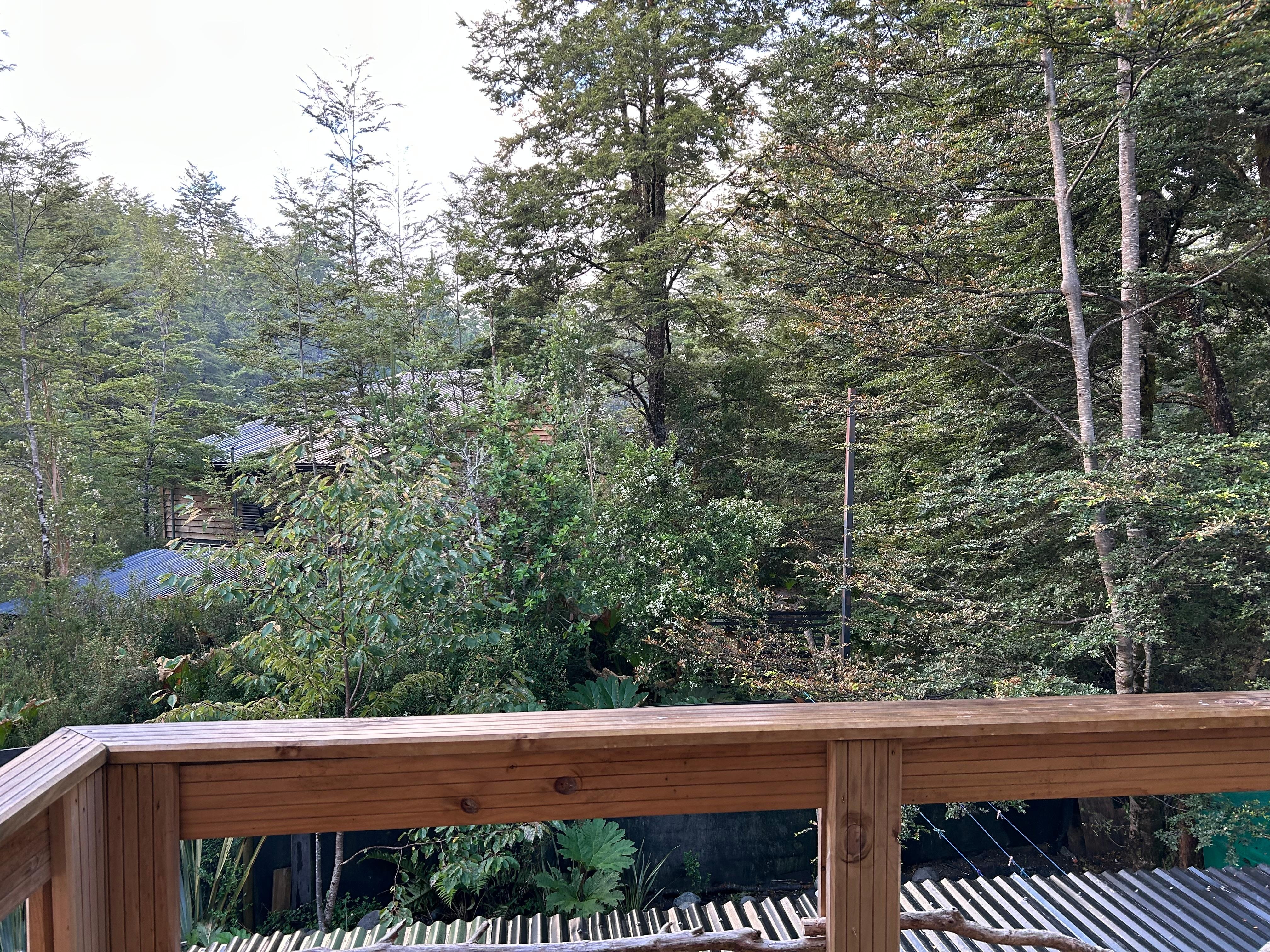 visto do quarto
tranquilidade total