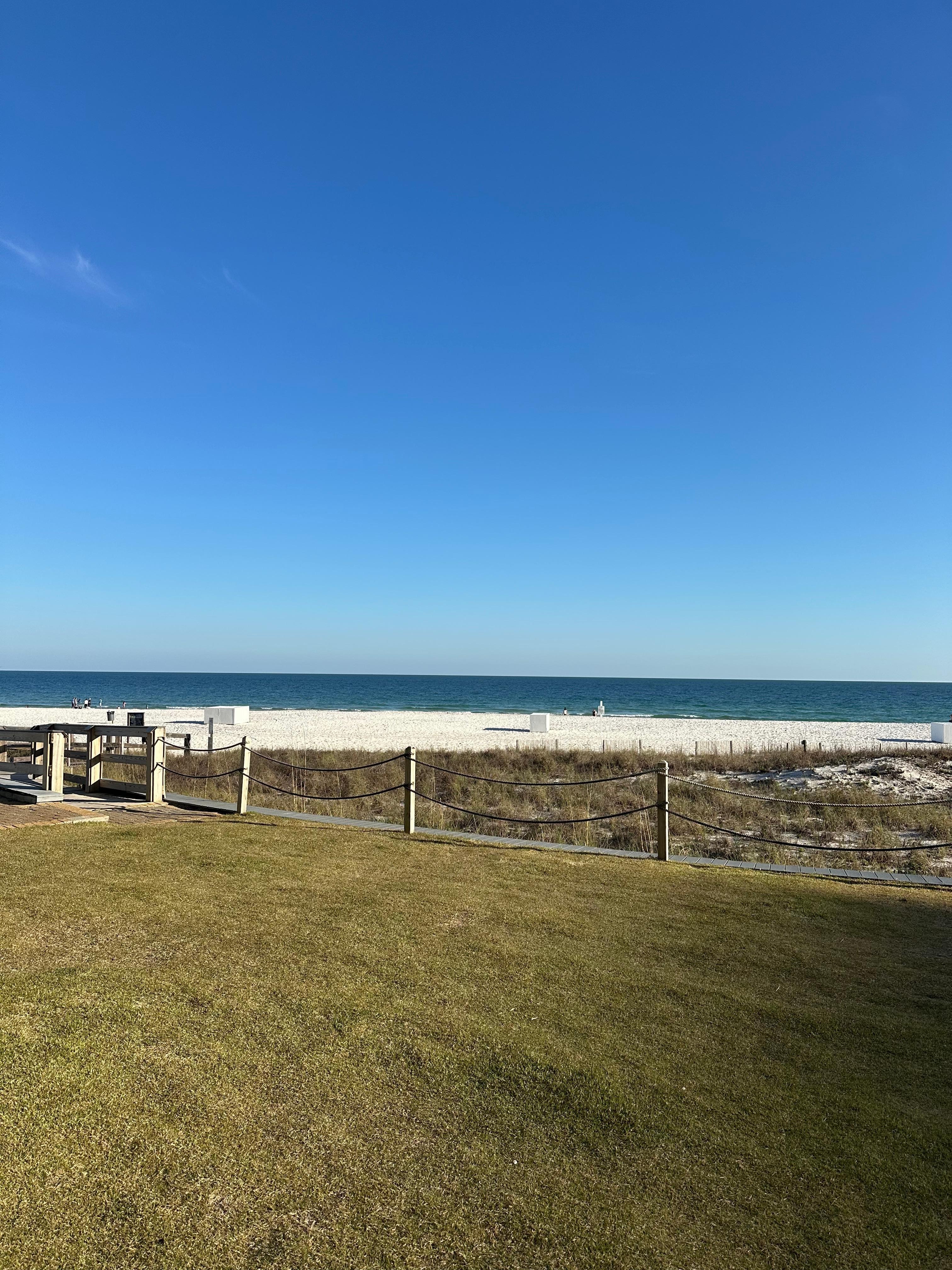 Another view from patio 