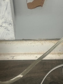 Baseboards, walls and stair handrails very dirty