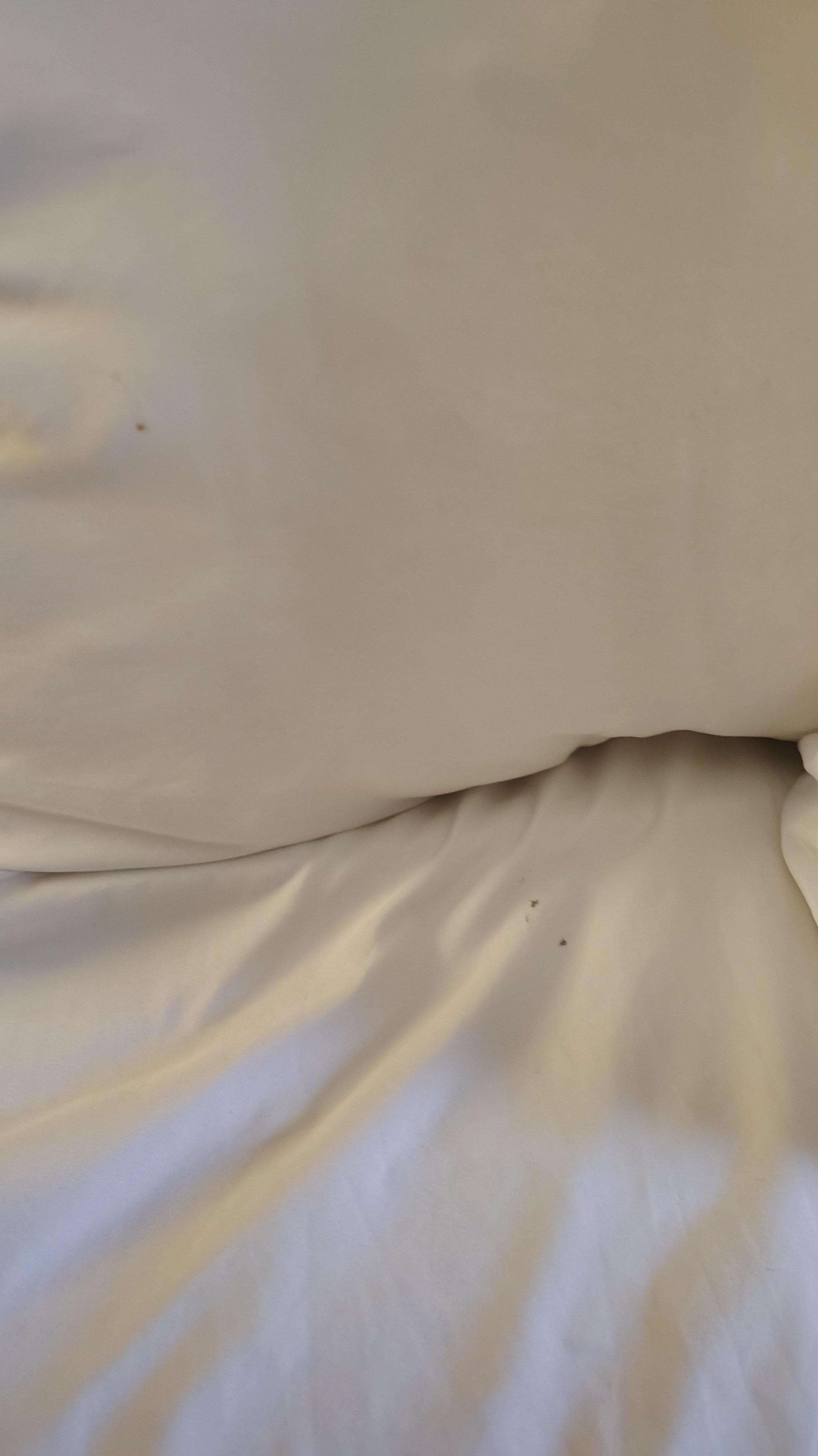 Dirty pillow and bedding sheets