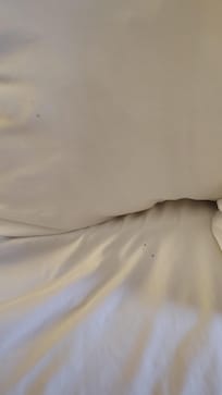 Dirty pillow and bedding sheets