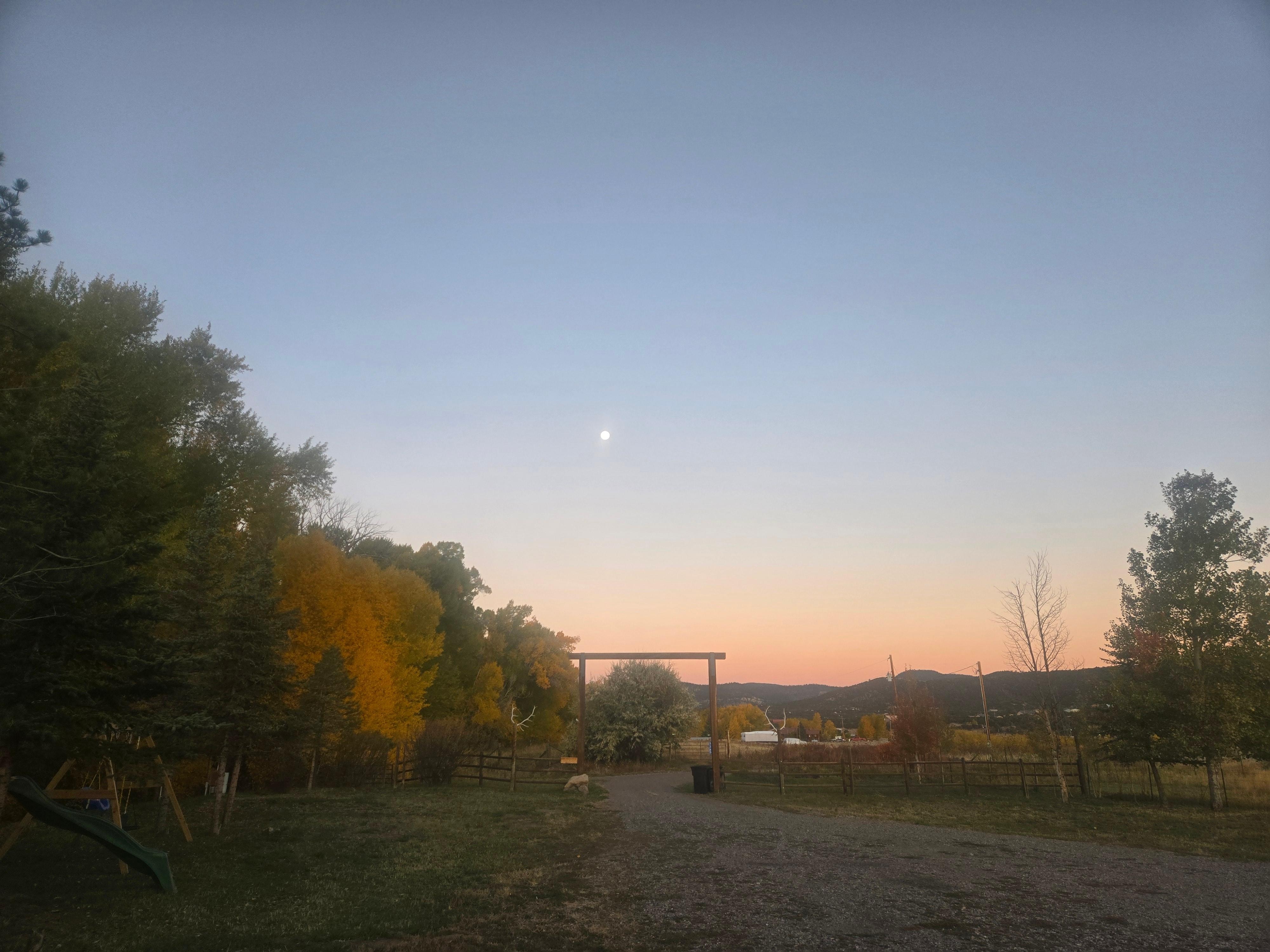 Looking out the front door 