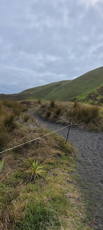 Beaches and wetlands close by