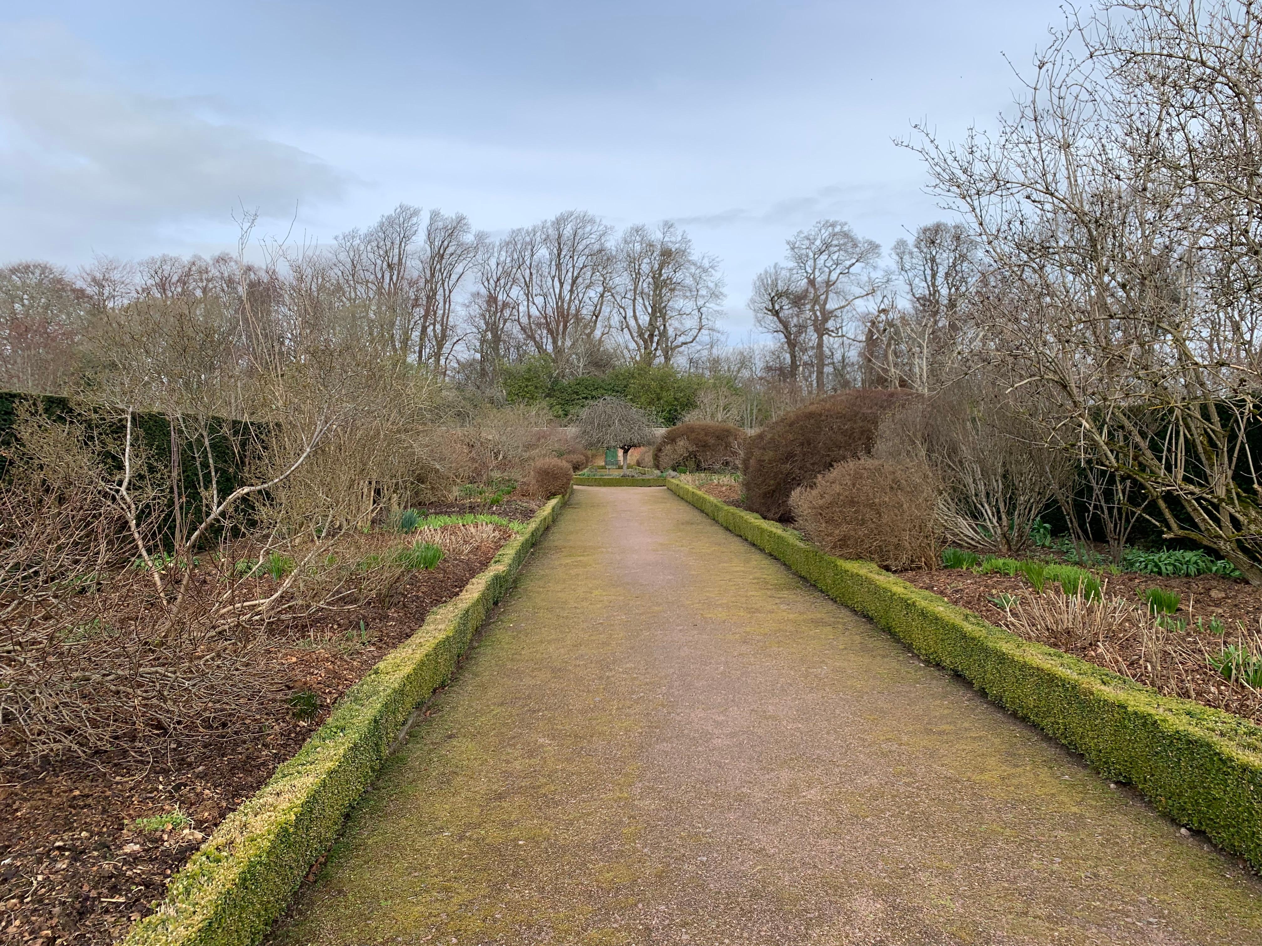 The garden is lovely, even in the winter