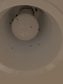 Dirty light fixture.