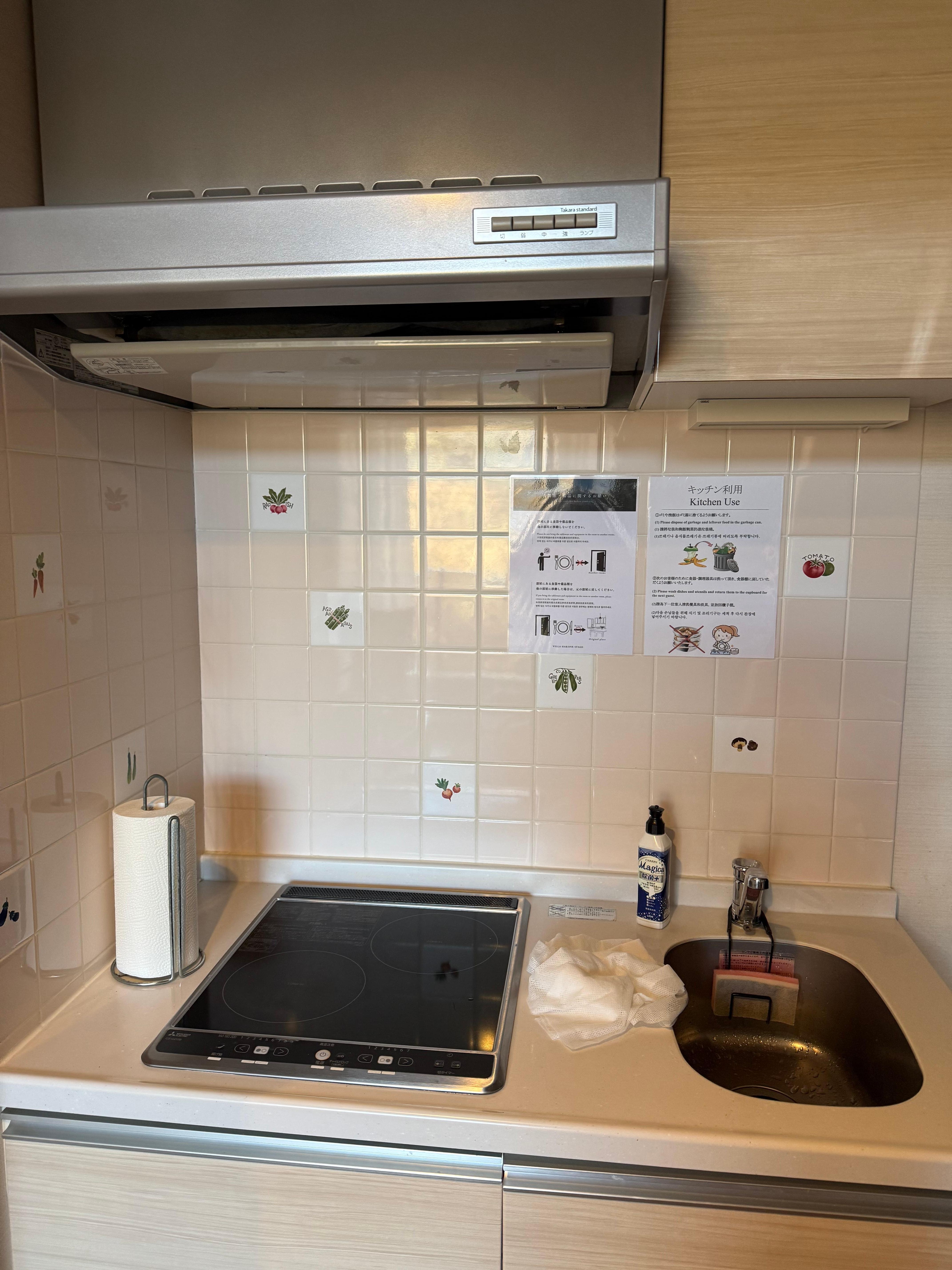 Kitchen cook top and sink 