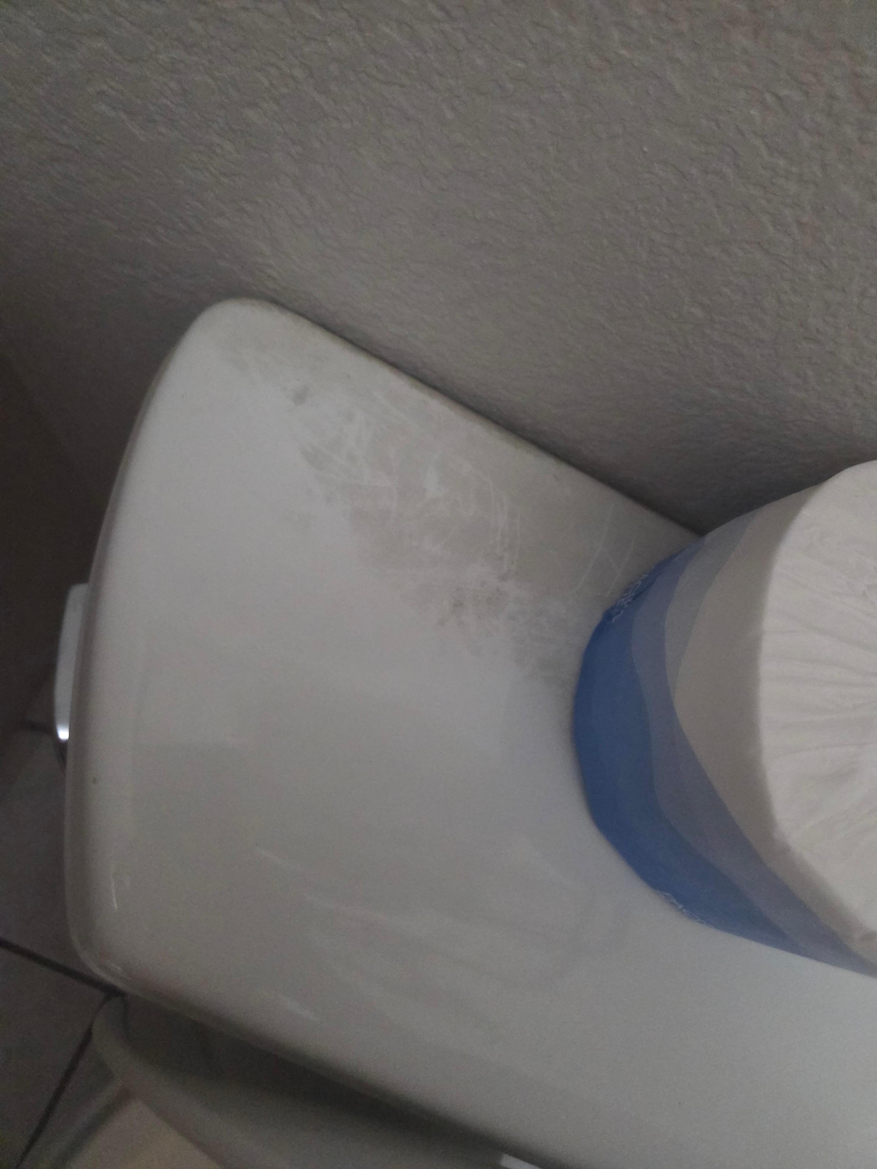 Not sure the bathroom has ever been cleaned 